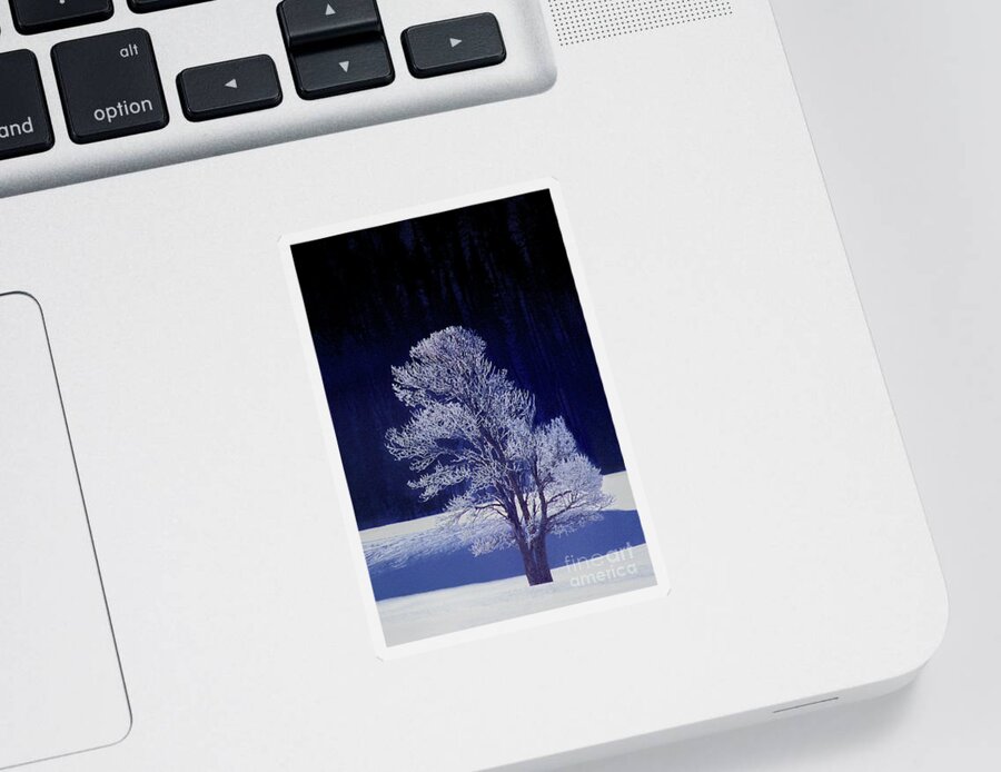 Dave Welling Sticker featuring the photograph Lonely Rime Ice Covered Tree Yellowstone National Park by Dave Welling