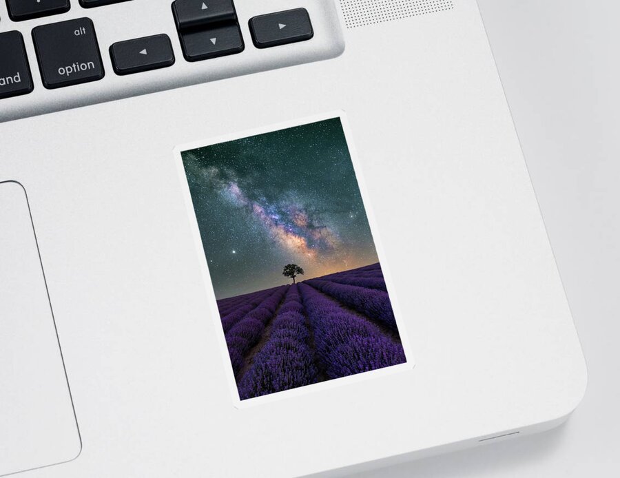 Lavender Sticker featuring the photograph Lonely Tree in a Lavender Field under the Milky Way by Alexios Ntounas
