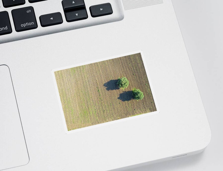 Lonely Trees Sticker featuring the photograph Lonlely olive trees on plowed agriculture field by Michalakis Ppalis