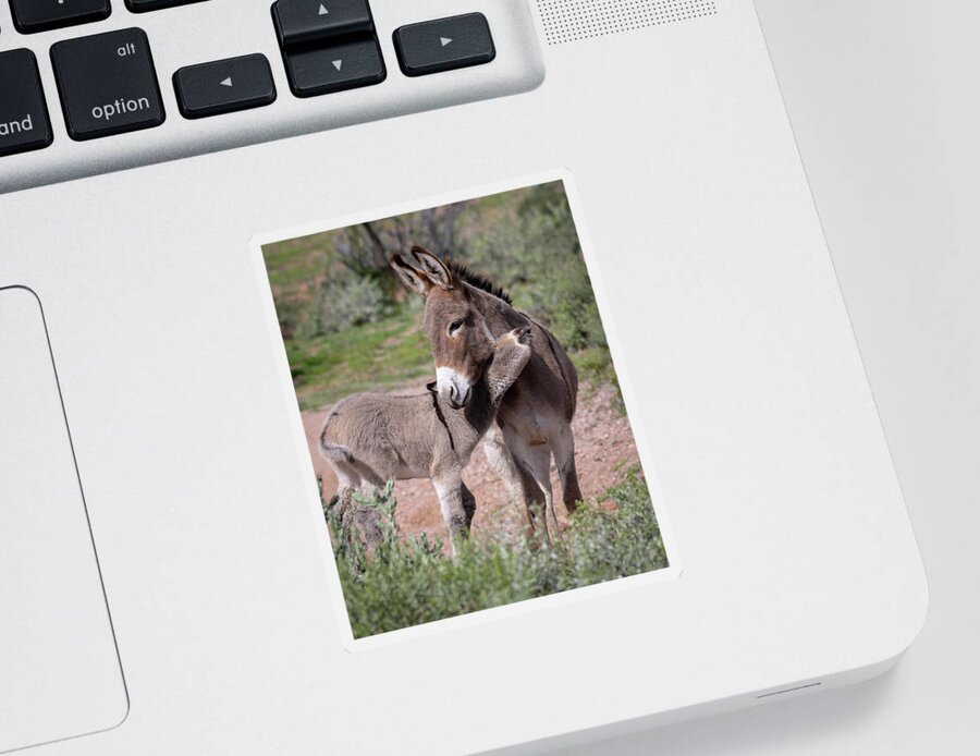 Wild Burro Sticker featuring the photograph Love you mom by Mary Hone