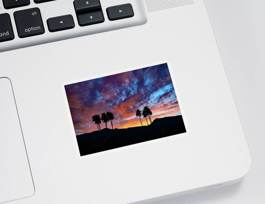Sunset Sticker featuring the photograph Luminous Desert Sunset Skies Behind Palm Trees, Palm Desert California by Bonnie Colgan