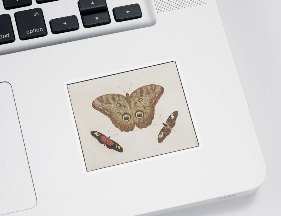 Moths Sticker featuring the digital art Lyin' Moth - 1775 by Kim Kent