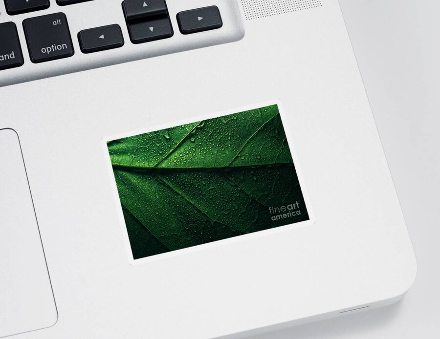 Leaf Sticker featuring the photograph Macro green leaf with water droplets by Jelena Jovanovic