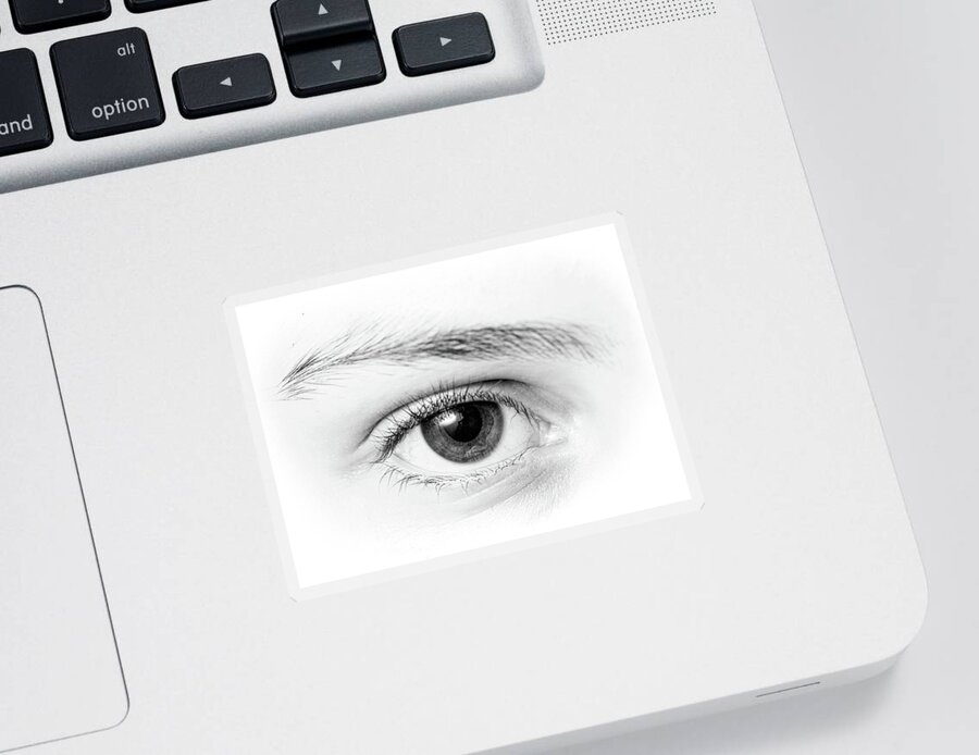 Eyes Sticker featuring the photograph Macro Photography - Eye by Amelia Pearn