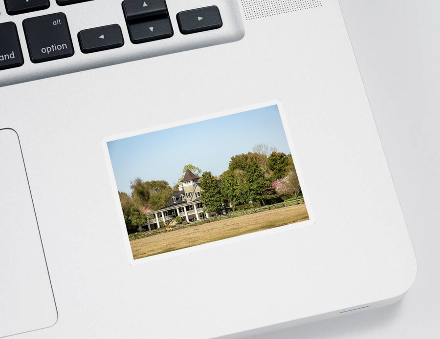 Forest Sticker featuring the photograph Magnolia Plantation House by Cindy Robinson