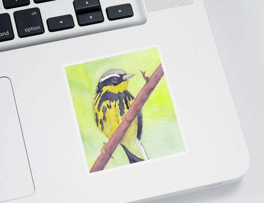 Birds Sticker featuring the painting Magnolia Warbler by Anne Katzeff