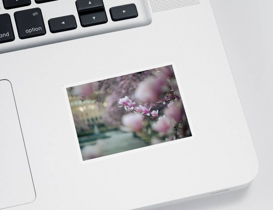 Flower Sticker featuring the photograph Magnolias by Marlo Horne