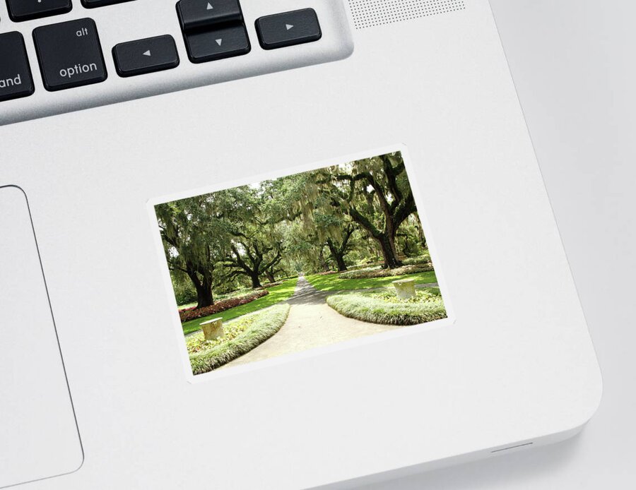 Park Sticker featuring the photograph Majestic Oaks by Lens Art Photography By Larry Trager