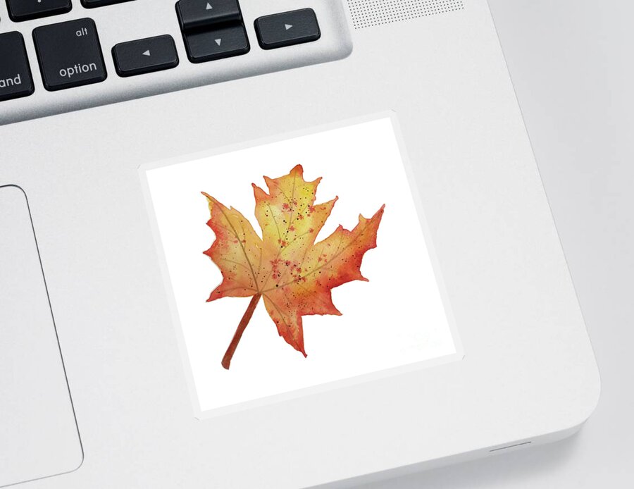 Maple Leaf Sticker featuring the painting Maple Leaf by Lisa Neuman