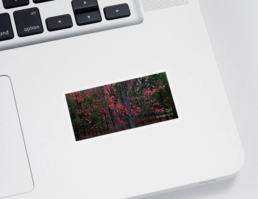 Maple Sticker featuring the photograph Maples of Red by Randy Pollard