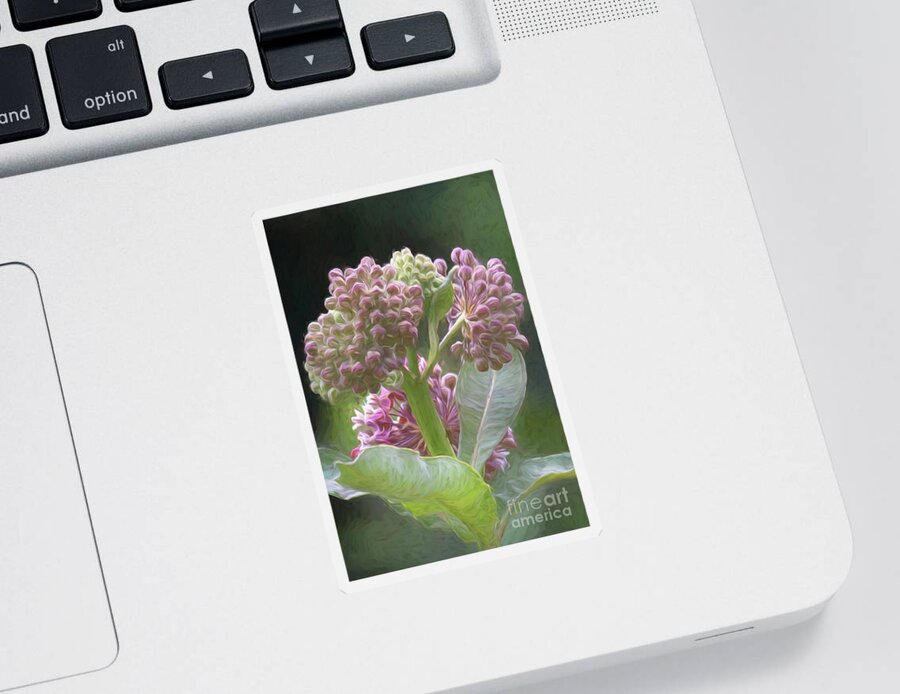 Milkweed Sticker featuring the photograph Milkweed in Van Gogh Style by Lorraine Cosgrove