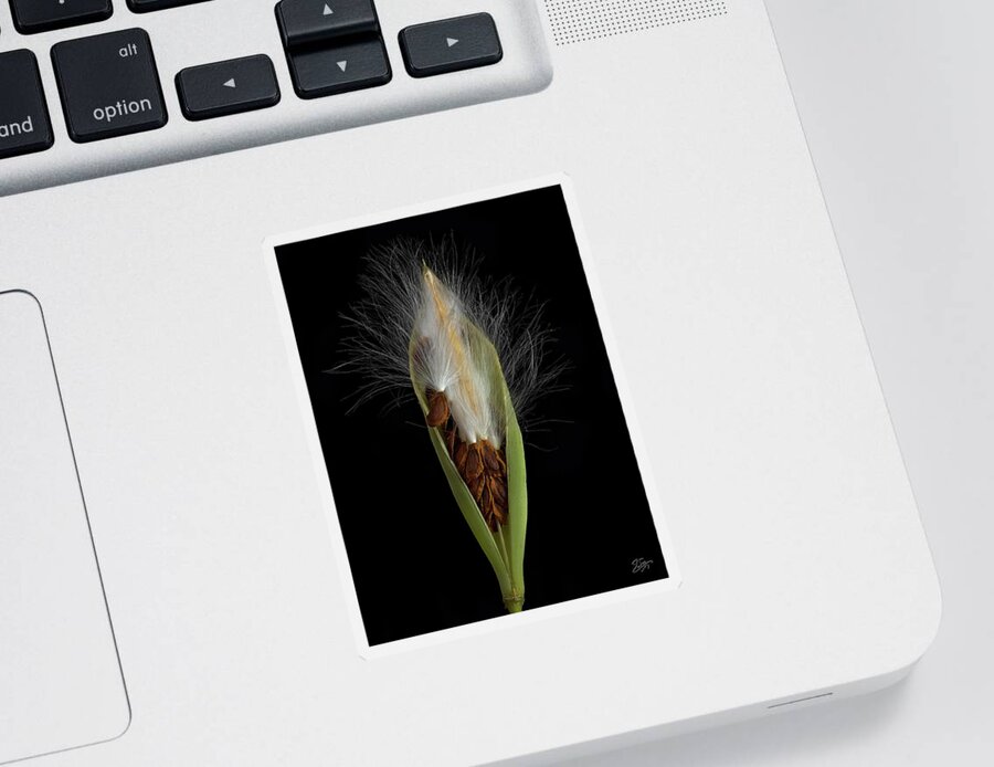 Milkweed Sticker featuring the photograph Milkweed Pod 2 by Endre Balogh