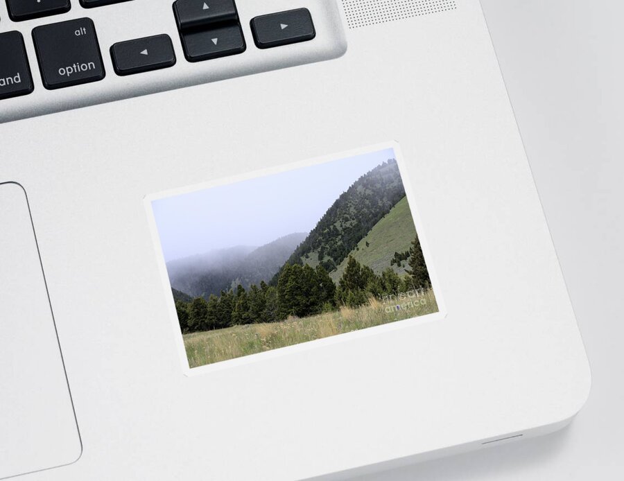 Scenic Sticker featuring the photograph Mist in the Mountains by Kae Cheatham