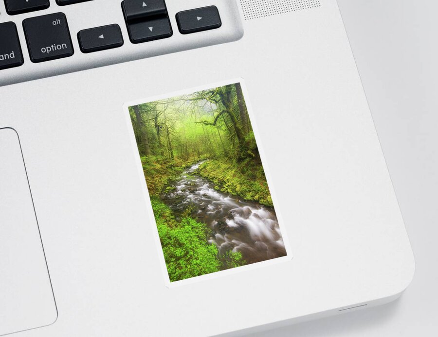 Oregon Sticker featuring the photograph Misty Morning Creek by Darren White