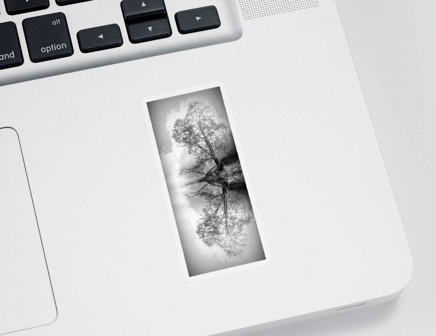Black Sticker featuring the photograph Misty Morning Tree Reflections Black and White by Debra and Dave Vanderlaan