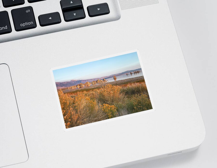 Landscape Sticker featuring the photograph Mono Shore With Rabbitbrush by Jonathan Nguyen