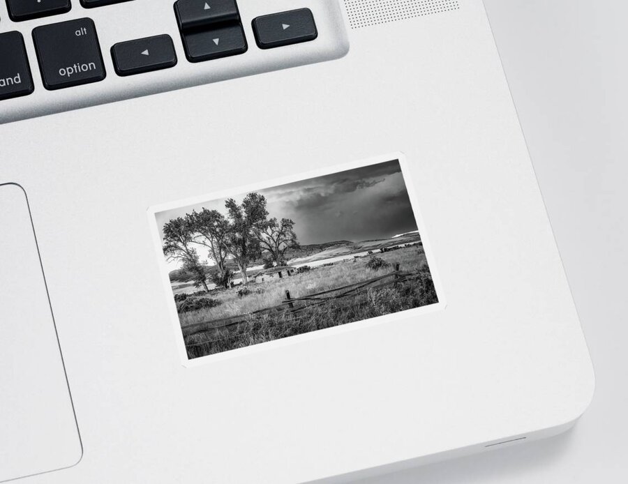  Sticker featuring the photograph Montana Sod Home, Black and White by Marcy Wielfaert