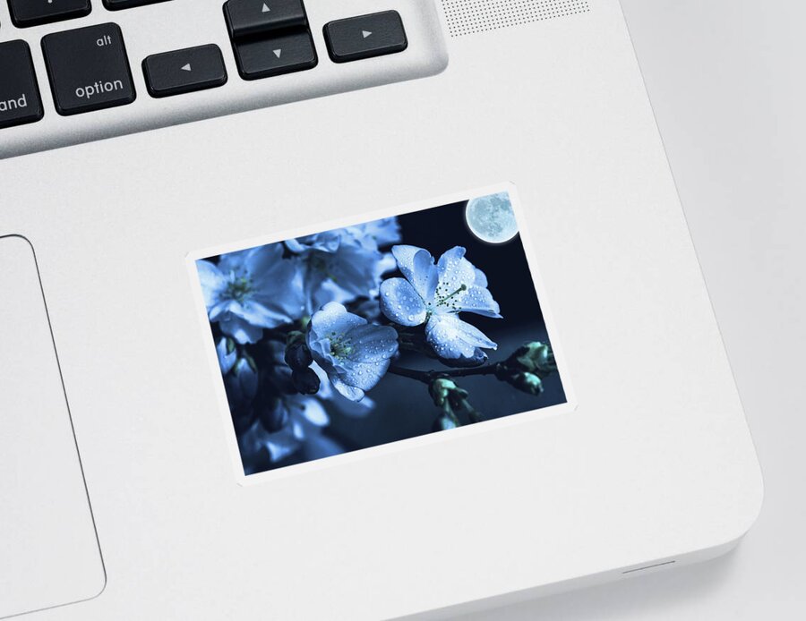 Moonlight Sticker featuring the photograph Moonlit Night In The Blooming Garden by Alex Mir