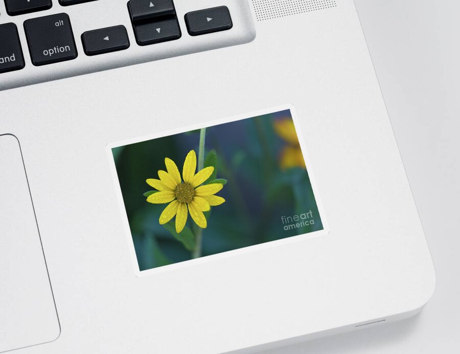  Sticker featuring the photograph Morning Dew by Vincent Bonafede