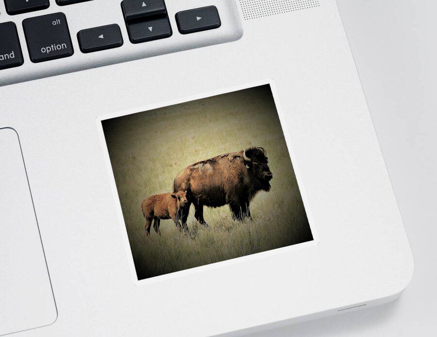 Bison Sticker featuring the photograph Mother and Child by Len Bomba