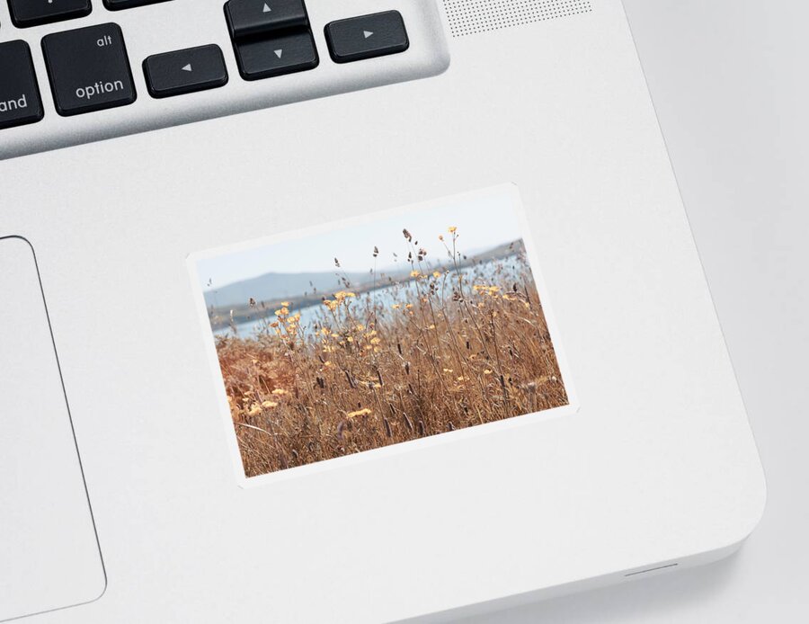 Clouds Sticker featuring the photograph Mountainside Wildflowers by Debra and Dave Vanderlaan