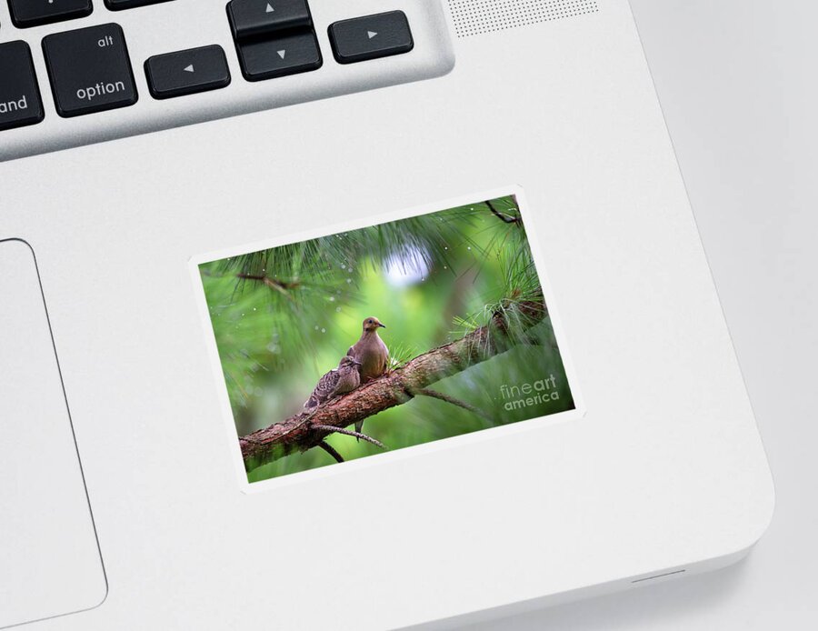 Christmas Dove Sticker featuring the photograph Mourning doves sheltering from the rain by Rehna George