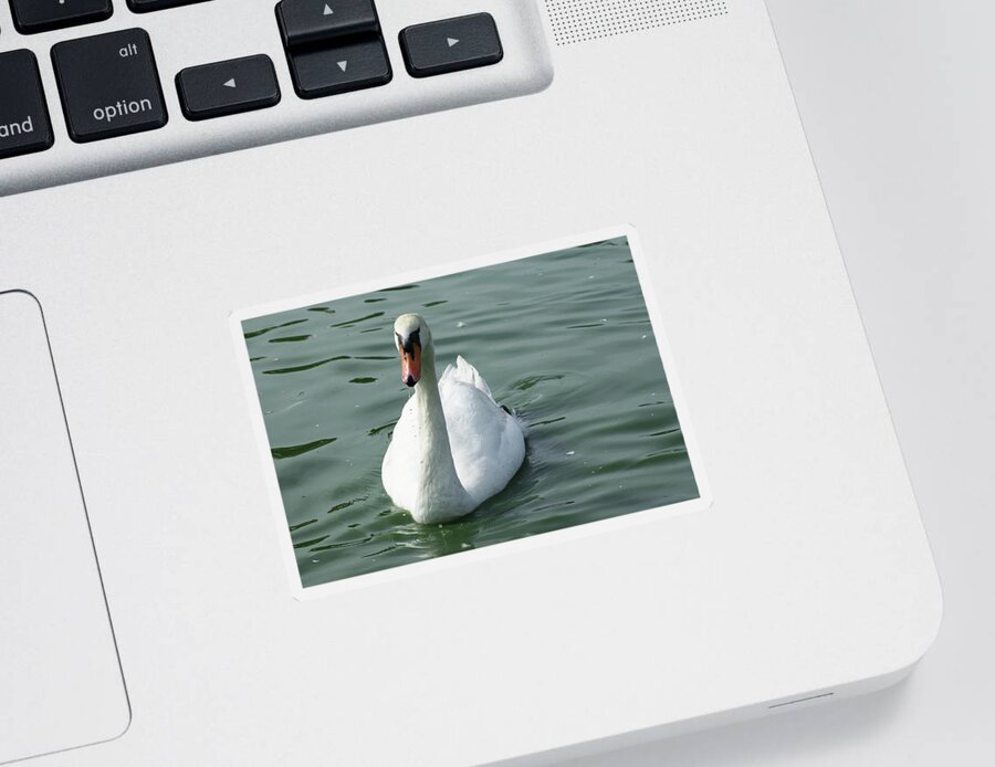  Sticker featuring the photograph Mute Swan by Heather E Harman