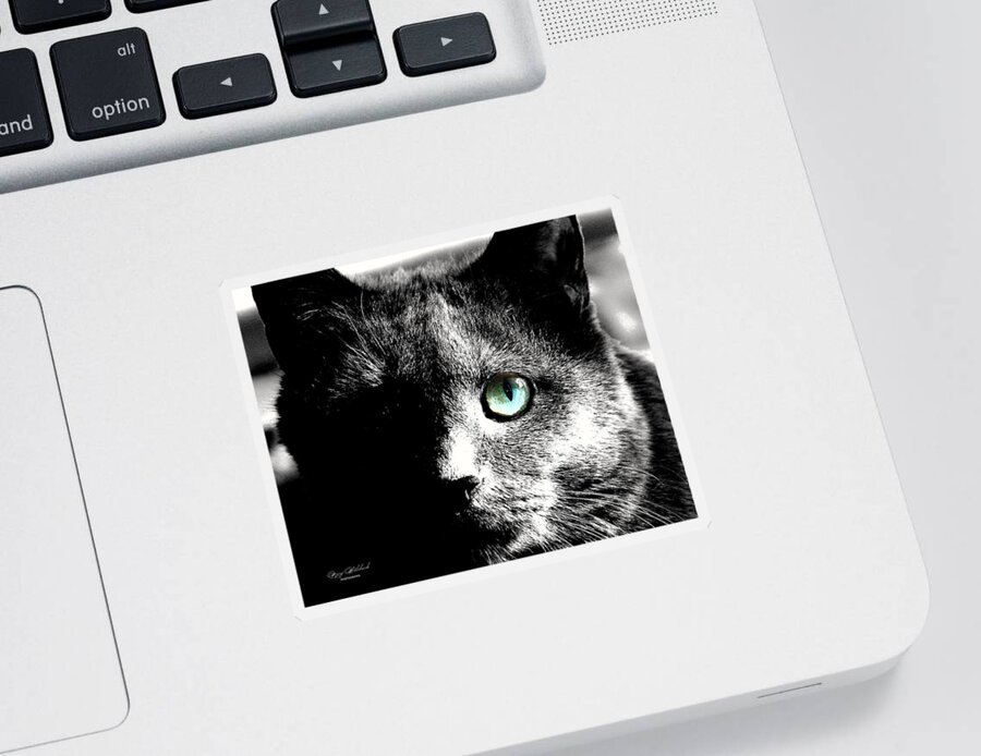 Cat Sticker featuring the photograph Mysteria 1 by Mary Walchuck