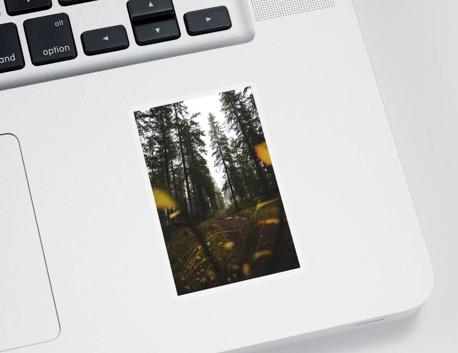 Outdoor Sticker featuring the photograph Mysterious misty forest in the rain by Vaclav Sonnek