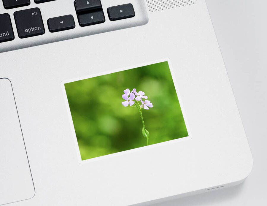 Landscapes Sticker featuring the photograph Nature Photography - Floral 2 by Amelia Pearn