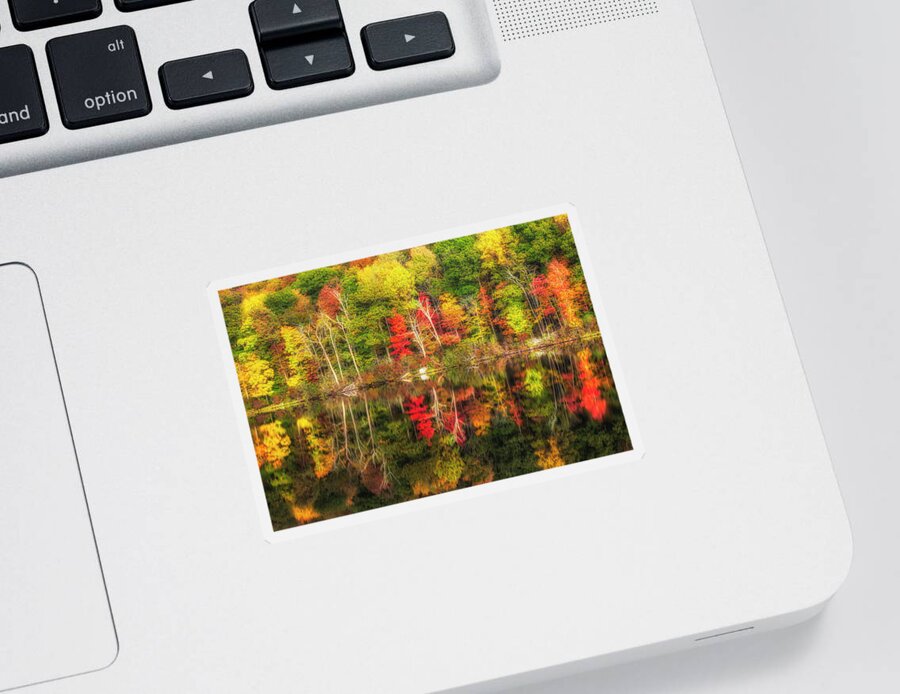 Harriman State Park Sticker featuring the photograph Natures Fall Color Palette by Susan Candelario