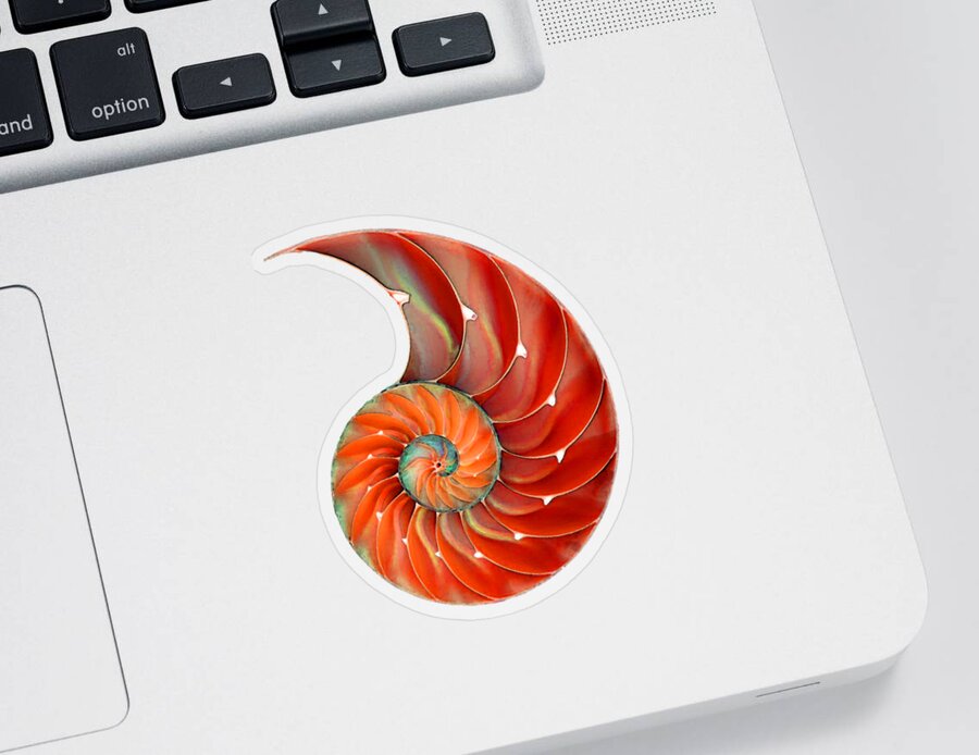Nautilus Sticker featuring the painting Nautilus Shell - Nature's Perfection by Sharon Cummings