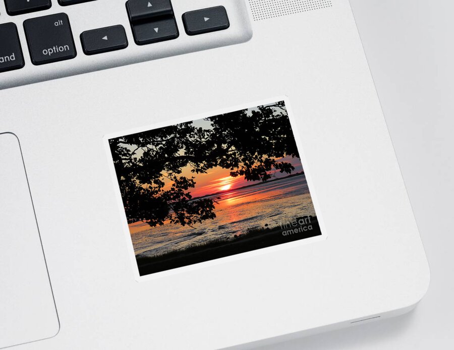 Sunrise Sticker featuring the photograph Nelson Park August sunrise by Janice Drew