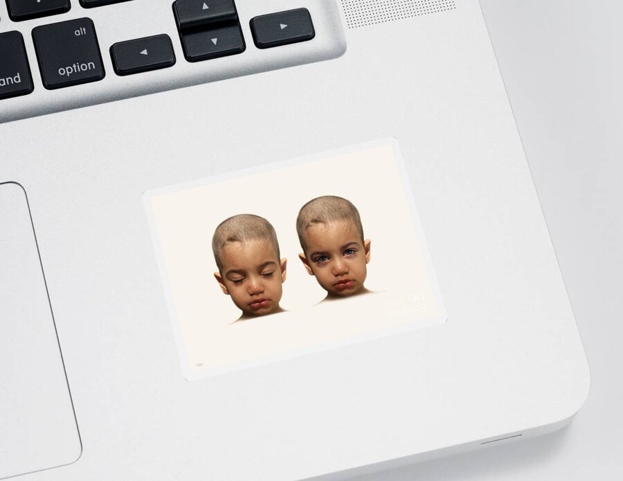 Baby Sticker featuring the photograph No.20 by Mehran Akhzari