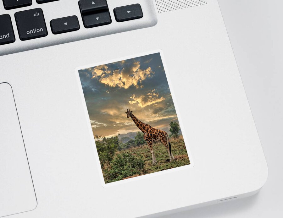 Giraffe Sticker featuring the digital art Noelle's Giraffe by Russel Considine