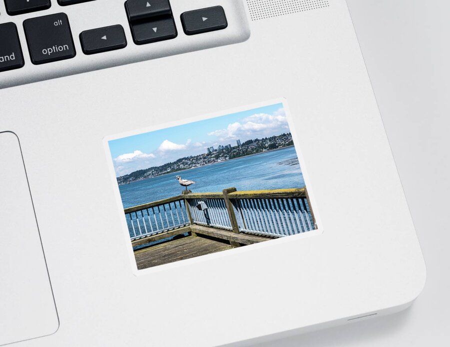 Noisy Gull On Railing Sticker featuring the photograph Noisy Gull on Railing by Tom Cochran