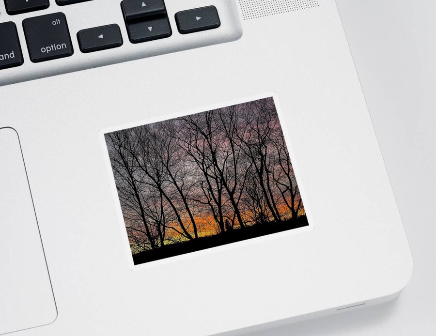 Carmel Sticker featuring the photograph Northeast Sunset in Late Autumn by Frank Mari