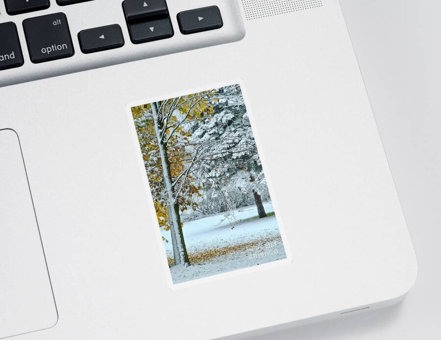 Autumn Sticker featuring the photograph November Snow in Michigan by Randy Pollard