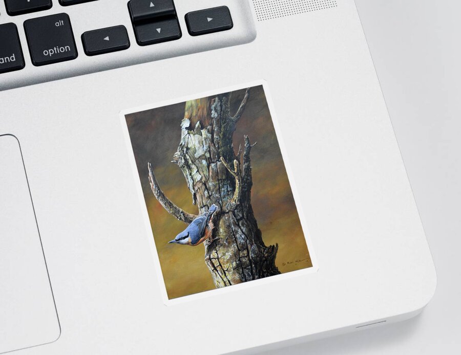 Nuthatch Sticker featuring the painting Nuthatch on tree by Alan M Hunt