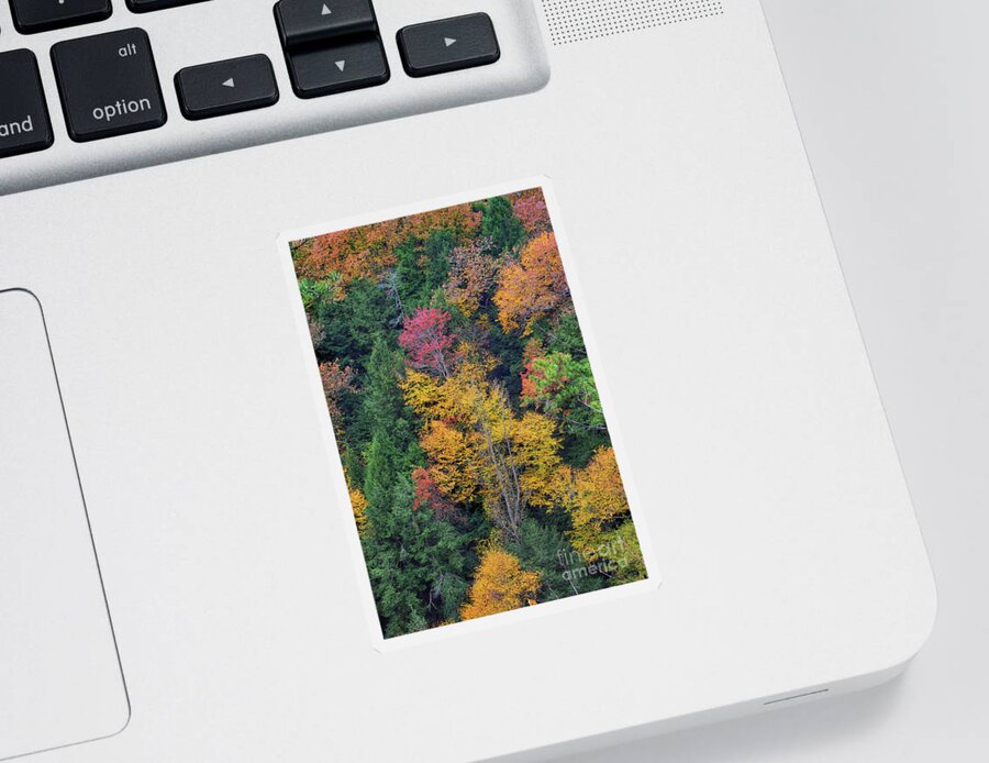 Autumn Sticker featuring the photograph Ohio Autumn by Karen Adams