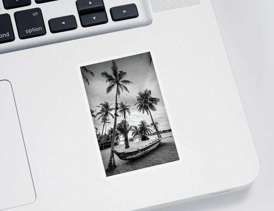 Black Sticker featuring the photograph Old Canoe Under the Palms Black and White by Debra and Dave Vanderlaan