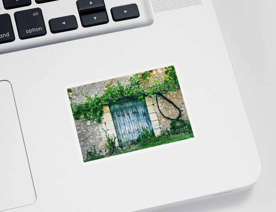 Door Sticker featuring the photograph Old door with vine by Delphimages Photo Creations