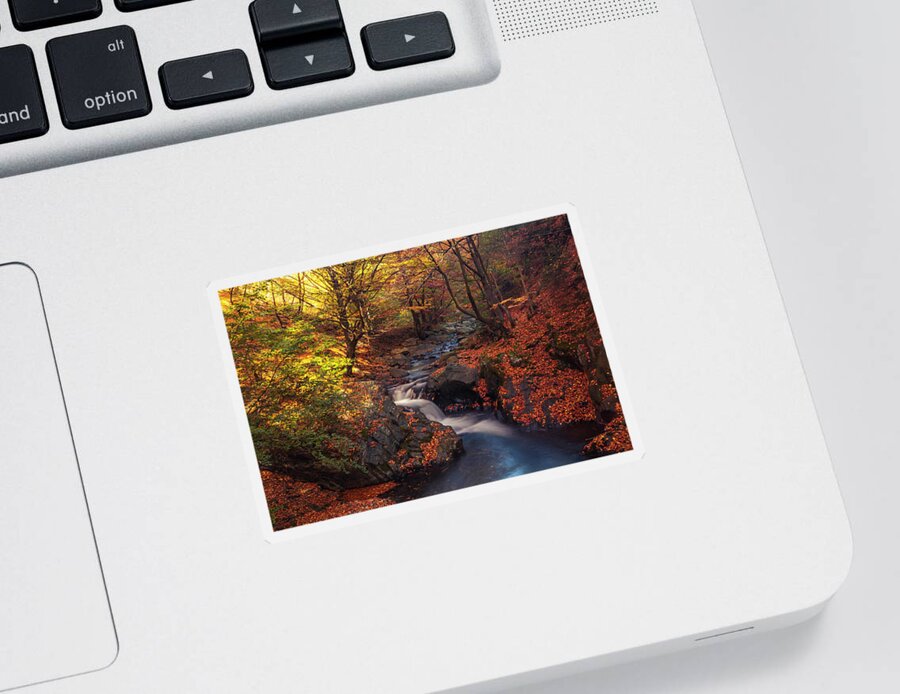 Mountain Sticker featuring the photograph Old River by Evgeni Dinev