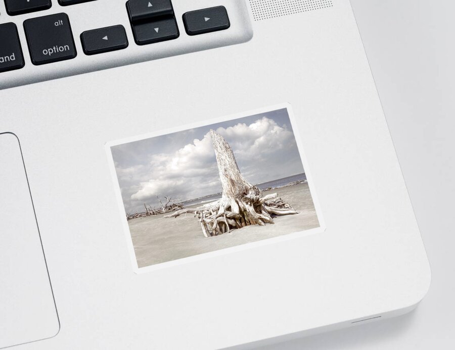 Clouds Sticker featuring the photograph On Driftwood Beach at Low Tide in Beachhouse Hues by Debra and Dave Vanderlaan