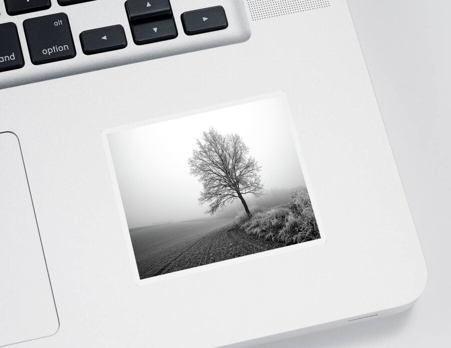 Tree Sticker featuring the photograph On the frontier by Davorin Mance