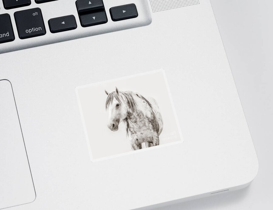 Stallion Sticker featuring the photograph Onaqui Portrait by Lisa Manifold