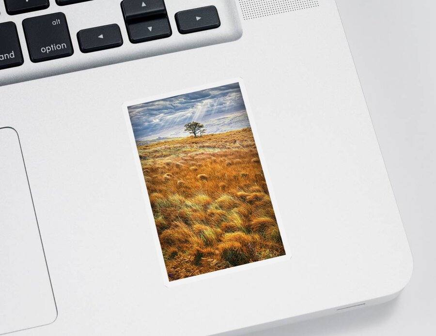 Clouds Sticker featuring the photograph One Tree in the Autumn Irish Mist by Debra and Dave Vanderlaan