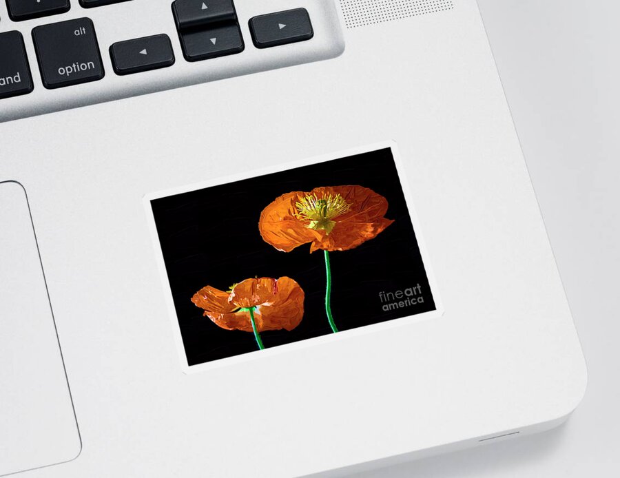 Botanical Sticker featuring the digital art Orange And Black by Kirt Tisdale