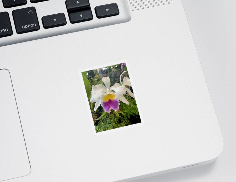 Orchid Sticker featuring the photograph Orchid_2097 by Pour Your heART Out Artworks