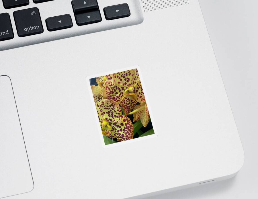 Orchid Sticker featuring the photograph Orchid_2105 by Pour Your heART Out Artworks